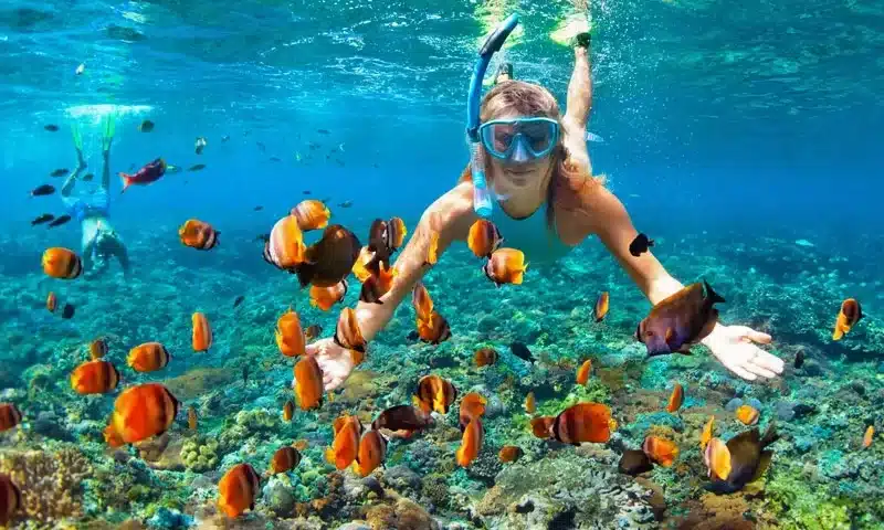 Los mejores destinos de buceo del Caribe para principiantes