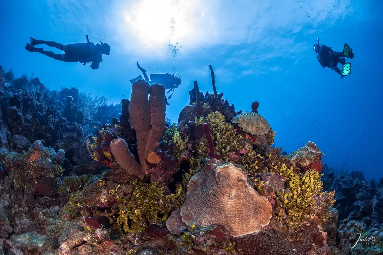 Dos buzos sobre un arrecife de coral en San Andrés, Colombia