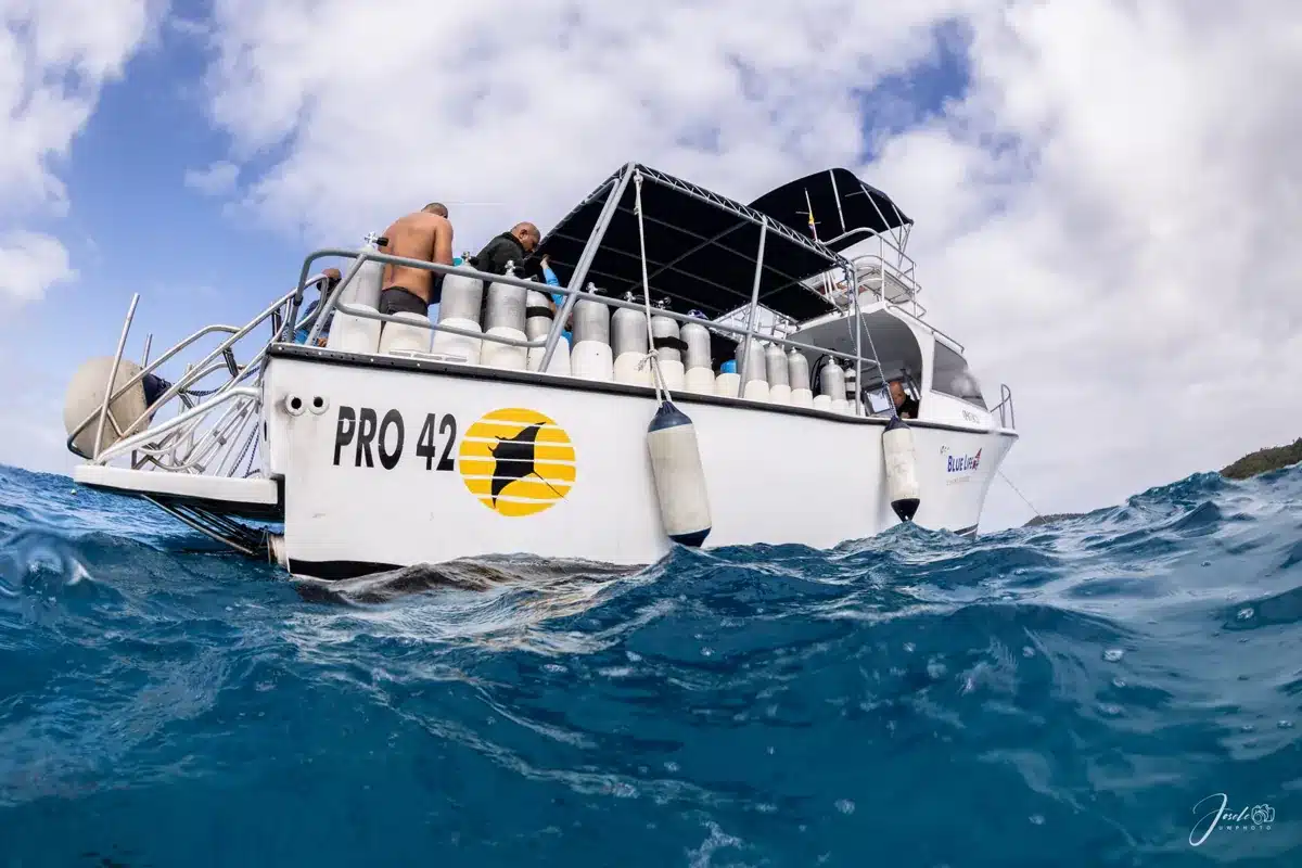 Equipo de instructores PADI de Blue Life en el barco en San Andrés